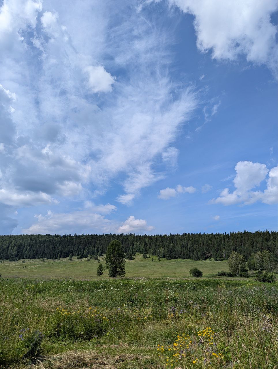 Уральский луг